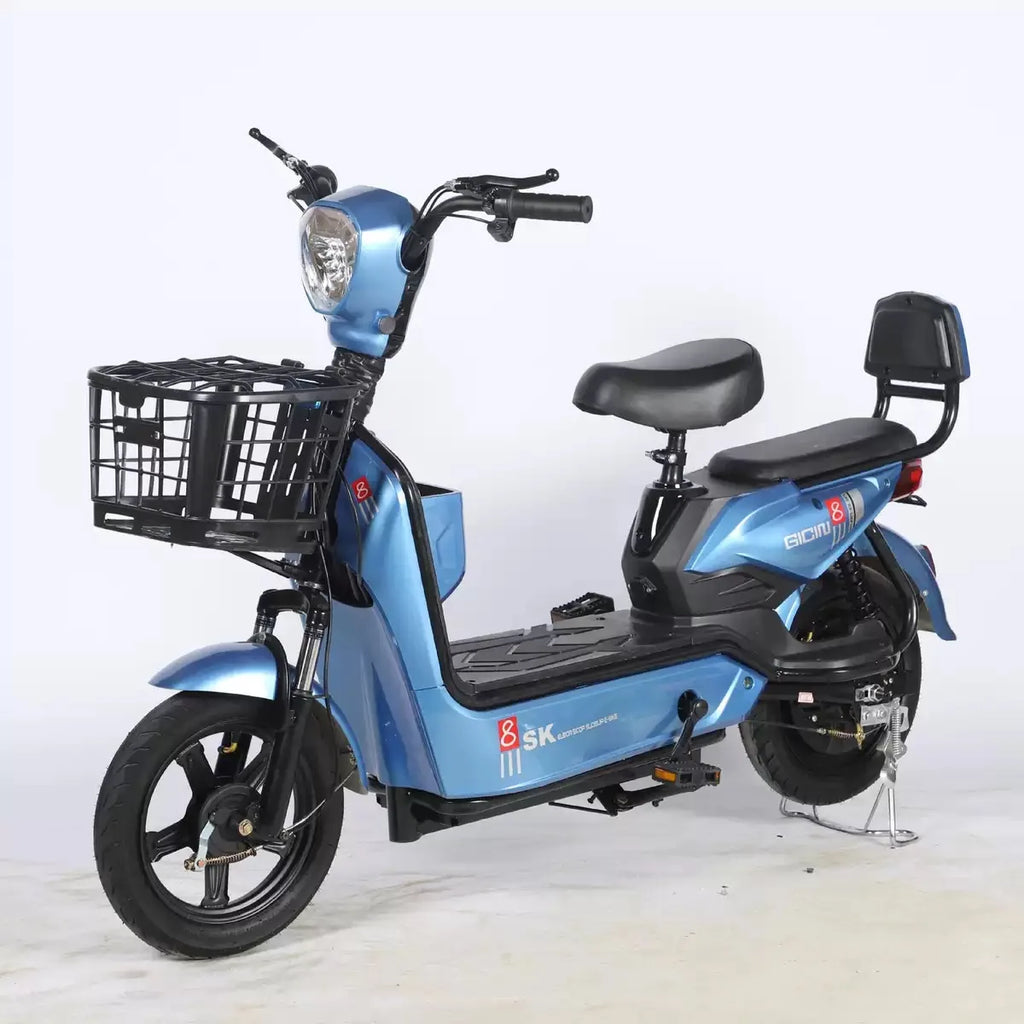 Best-Selling Lightweight Two-Wheeled Electric Bike - GilloServ