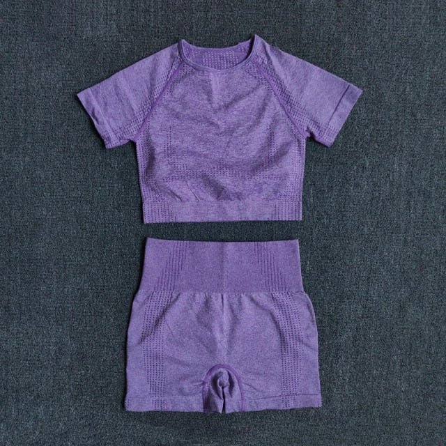 2/3/5PCS Seamless Women Yoga Set - GilloServ