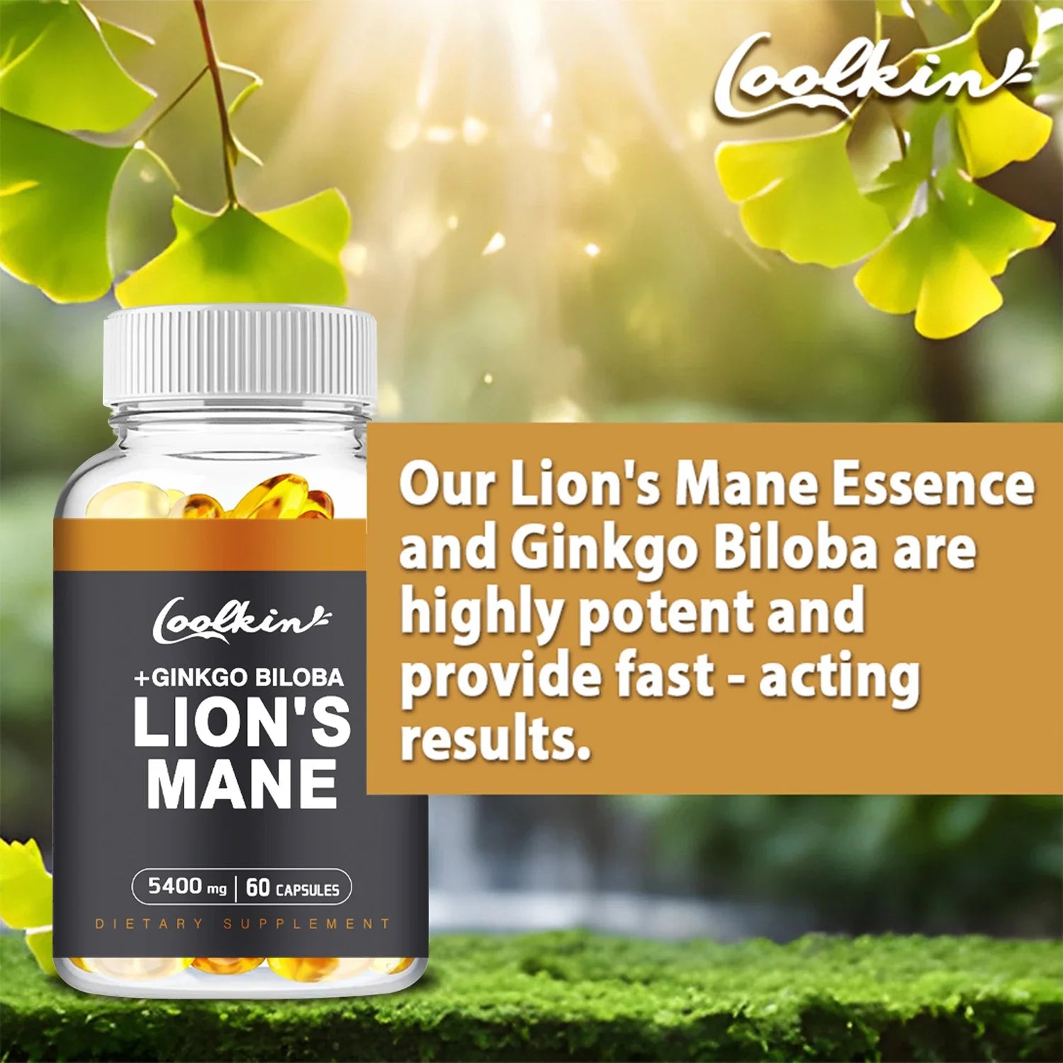 Mane Mushroom Enhance Brain Function, Improve Memory & Cognition, Improve Mood - GilloServ