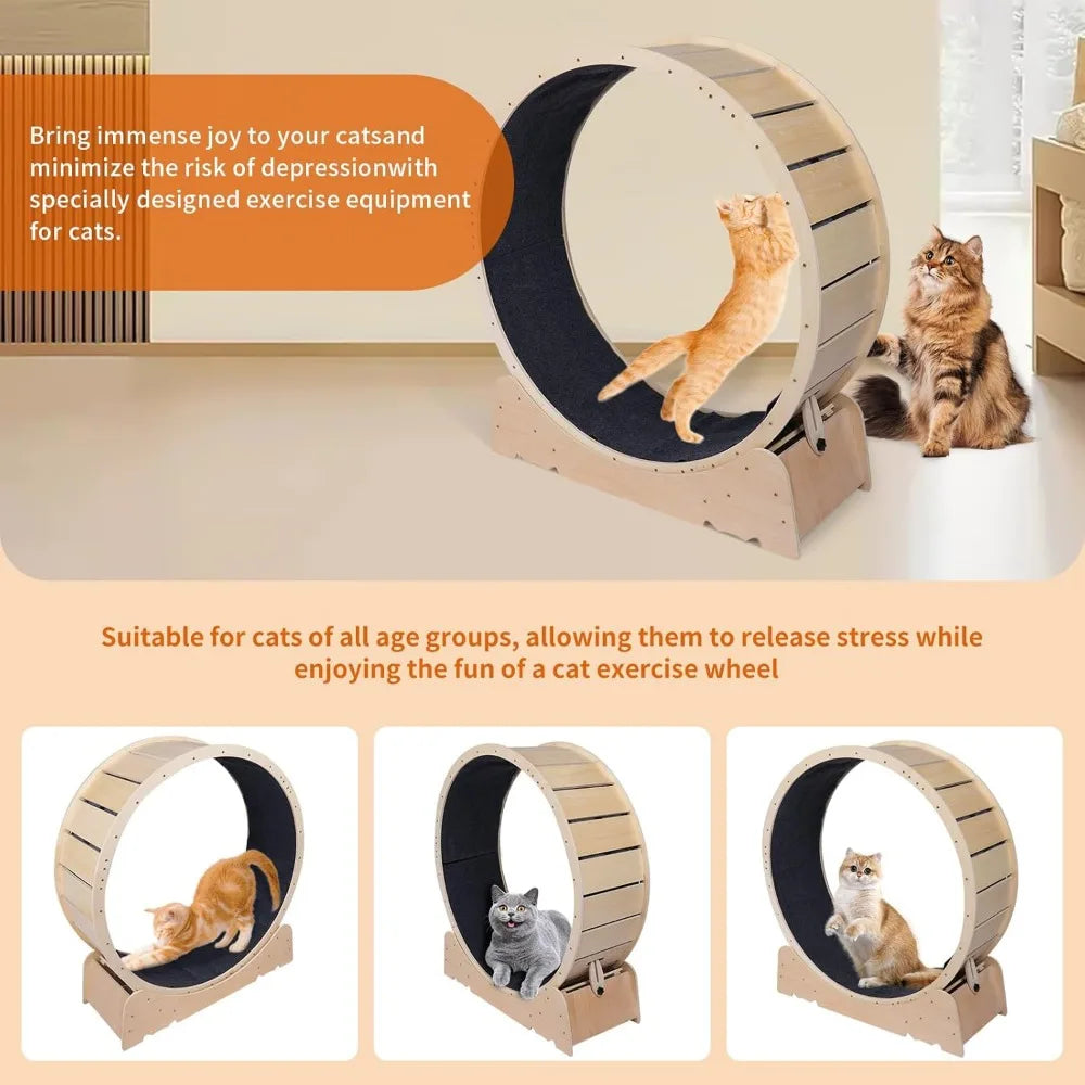 Large Cat Exercise Wheel 40 Inch Treadmill Exerciser for Indoor Cats - GilloServ