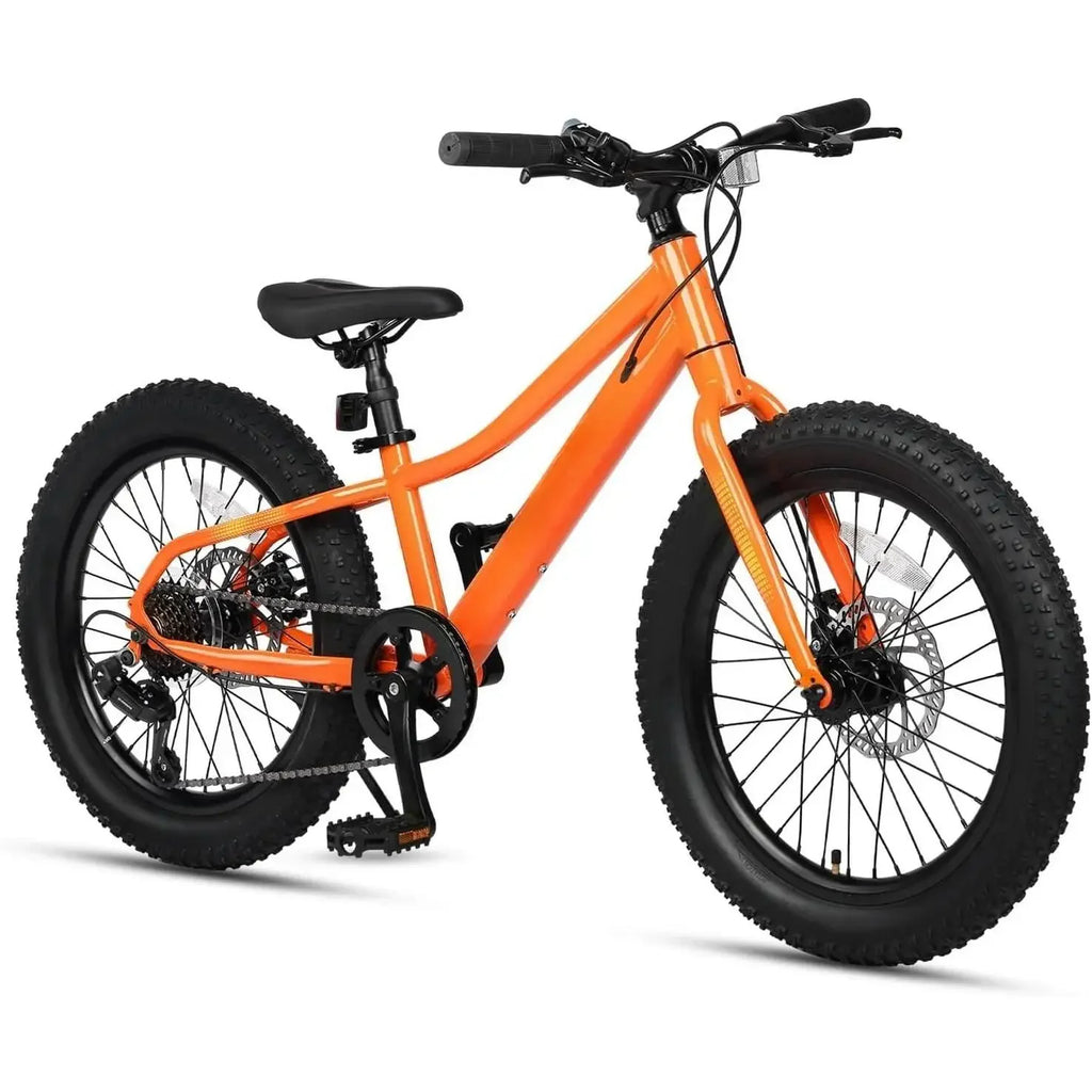 Kids Mountain Bike, 20 24 Inch//Fat Tire Bike for Teen Ages 6-14 Year Old//Bicycle with 2.8-Inch Wide Tires and 6 Speed - GilloServ