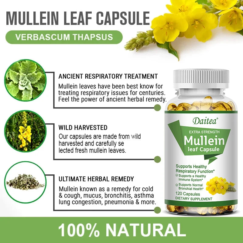 Mullein Leaf Extract Capsules, Helps Cleanse and Detoxify The Lungs, Supports Respiratory Health, - GilloServ