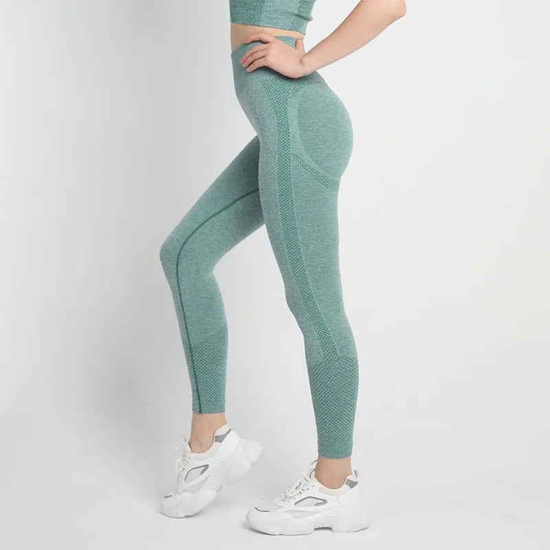 Leggings for Scrunch Seamless Yoga Low Ribbed Band - GilloServ