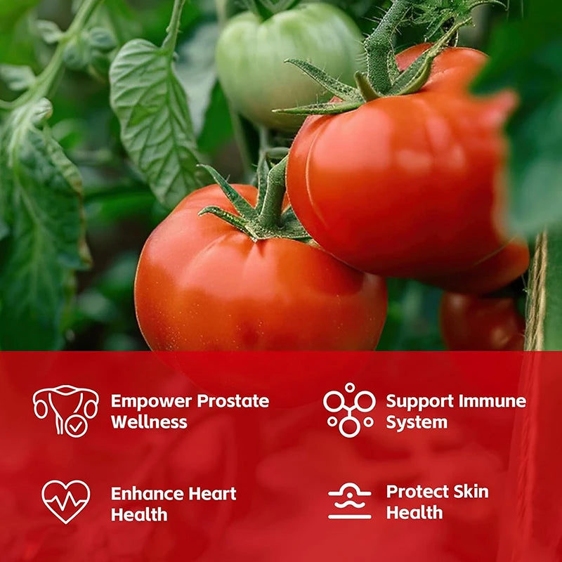 Lycopene Capsules - Promotes Prostate, Heart, Vision Health, Immune Support, Antioxidant - GilloServ