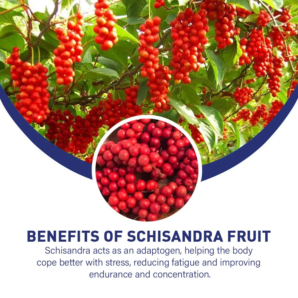 Fearathe Thyroid Support Complex Supplement - Energy, Focus, Boosts Brain Function and Metabolism, Concentration, Vitamin B12 - GilloServ