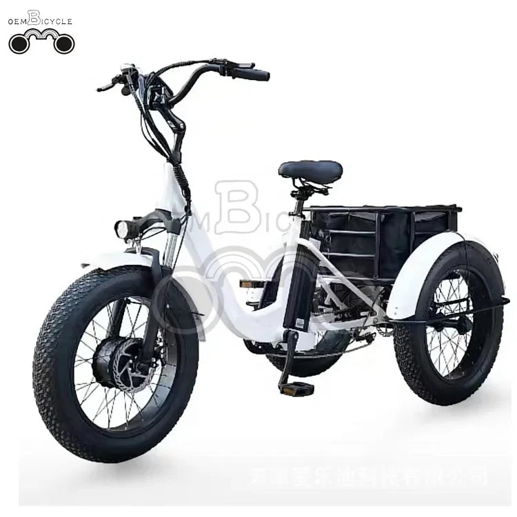 20 Inch Electric 750W Motor Fat Tire///3 Wheel Tricycle Adult Cargo/// Electric Bike with Basket - GilloServ