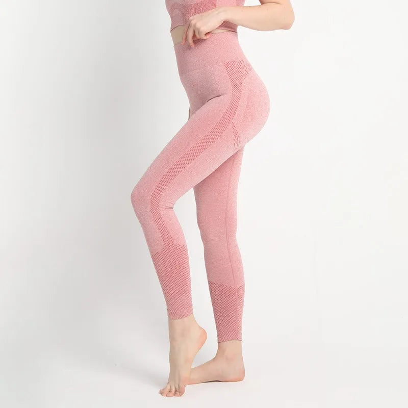 Leggings for Scrunch Seamless Yoga Low Ribbed Band - GilloServ