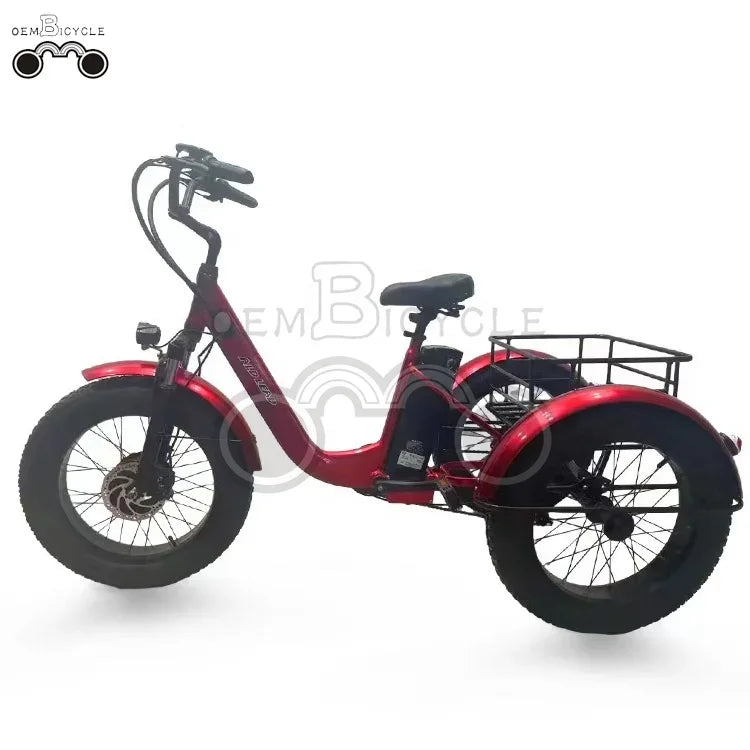 20 Inch Electric 750W Motor Fat Tire///3 Wheel Tricycle Adult Cargo/// Electric Bike with Basket - GilloServ