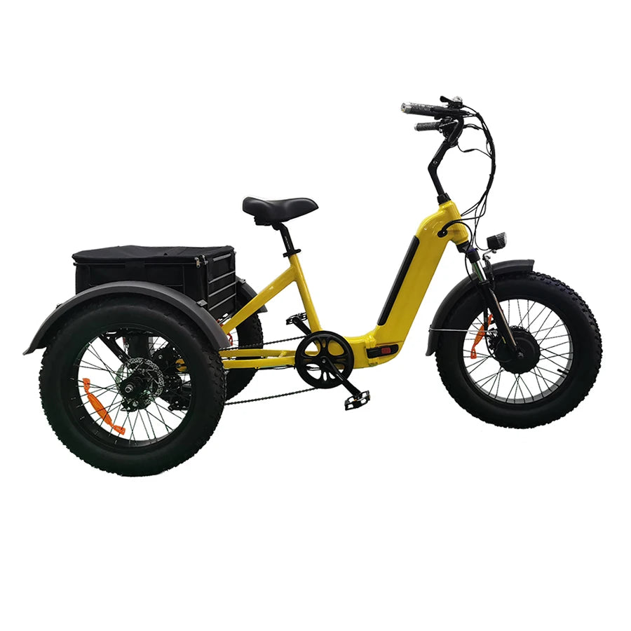 48V 500W Fat Tire Hub Motor 3 Wheel Foldable Electric Cargo - GilloServ