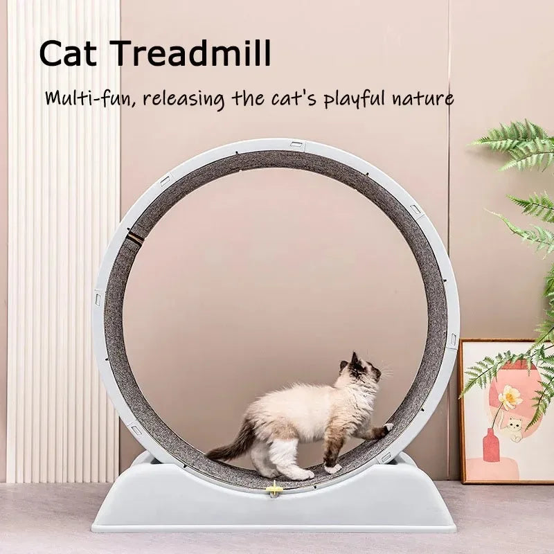 Cat Treadmill Silent Pet Fitness Roller Foot Exercise Running Wheel - GilloServ