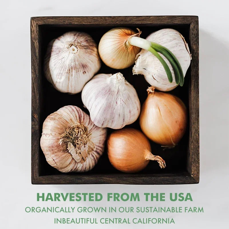 Organic Garlic Extract Capsule,for Immune and Cardiovascular, Cholesterol Health Support Nutrition Supplement - GilloServ