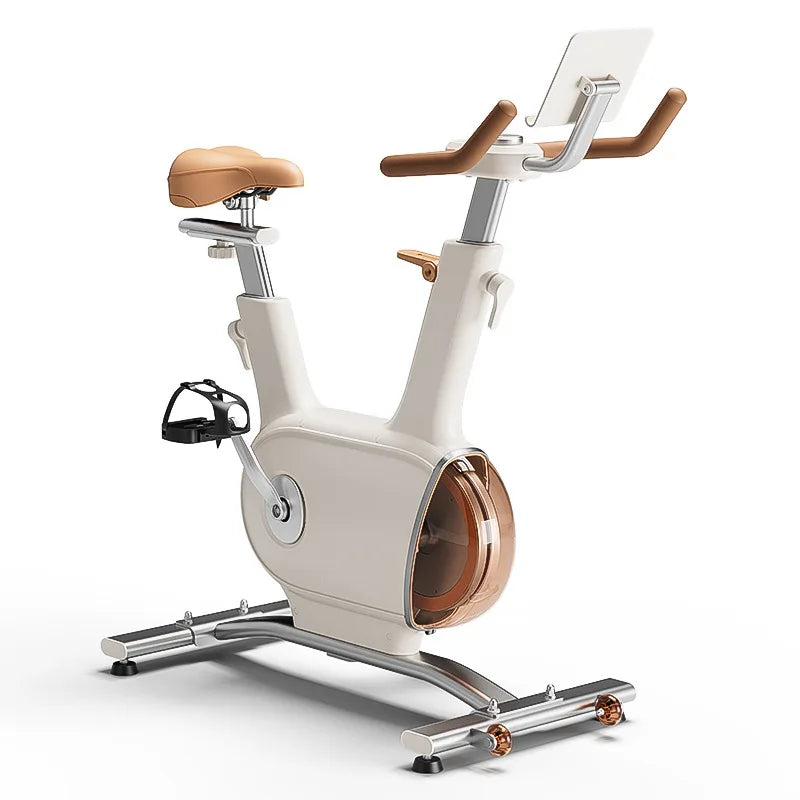 Silent Smart Spinning Bike Gym Home Magnetic Control Exercise Bike Sports - GilloServ