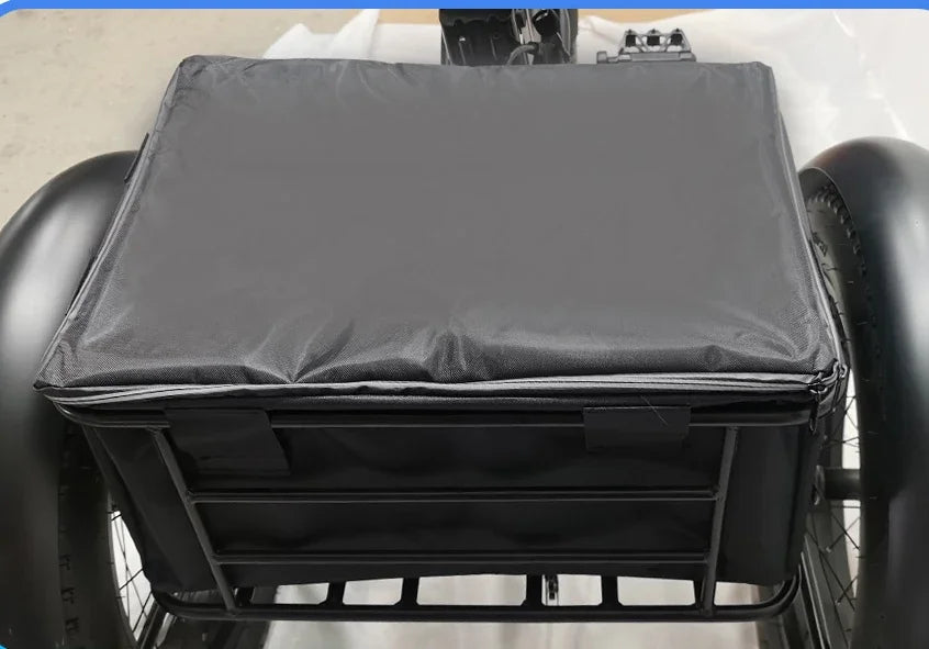 20 Inch Electric 750W Motor Fat Tire///3 Wheel Tricycle Adult Cargo/// Electric Bike with Basket - GilloServ