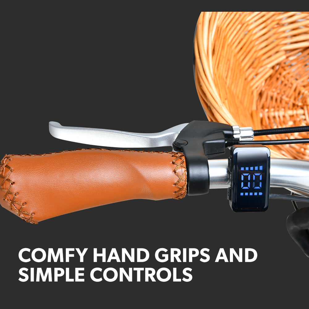 NNEMB 2023 Laneway 5 Vintage Electric Bike-Torque Sensor equipped eBike-Medium-Black-4