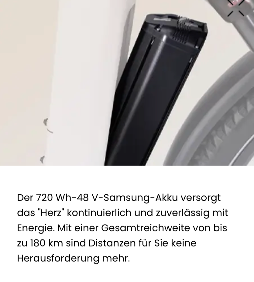 Deruiz Mica Pro - Vorbestellung - GilloServ