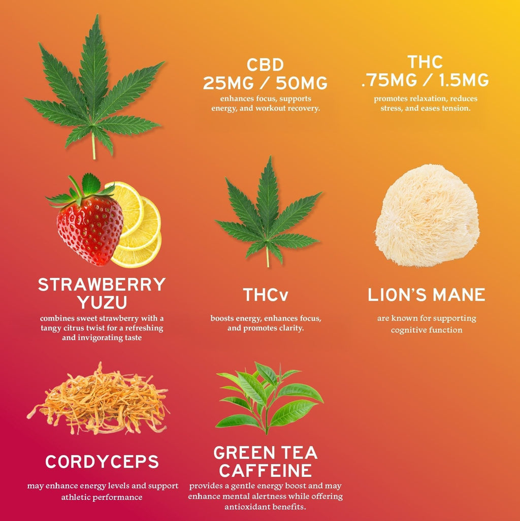 6-Pack: Naturals CBD Uplift Gummies for Mood and Workout - GilloServ