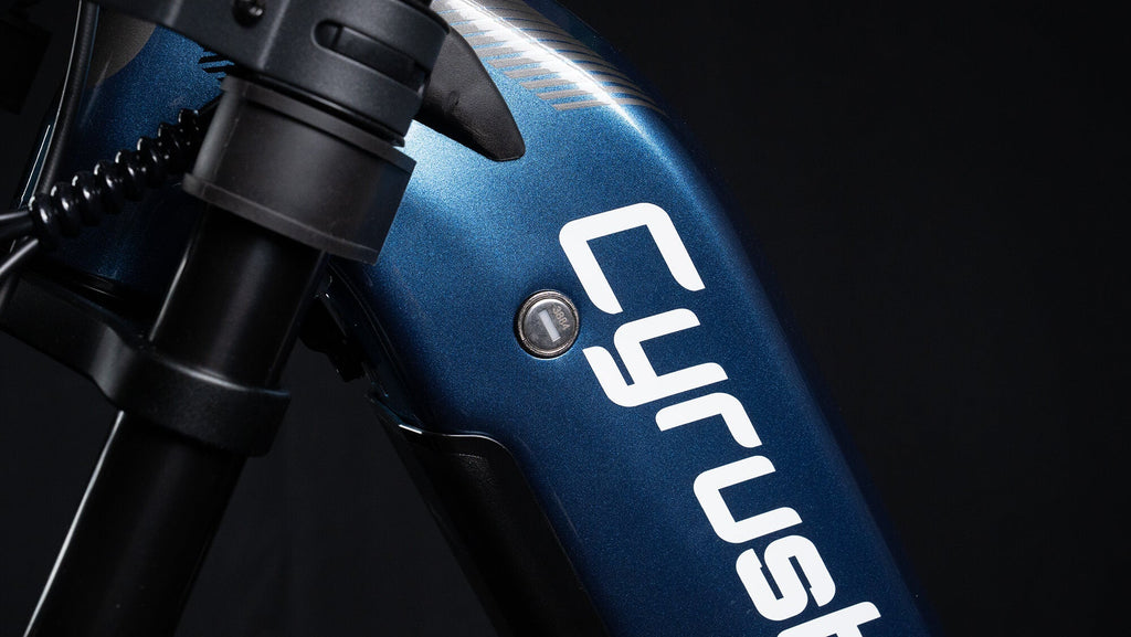 Elektro-Bike Trax 2.0-1