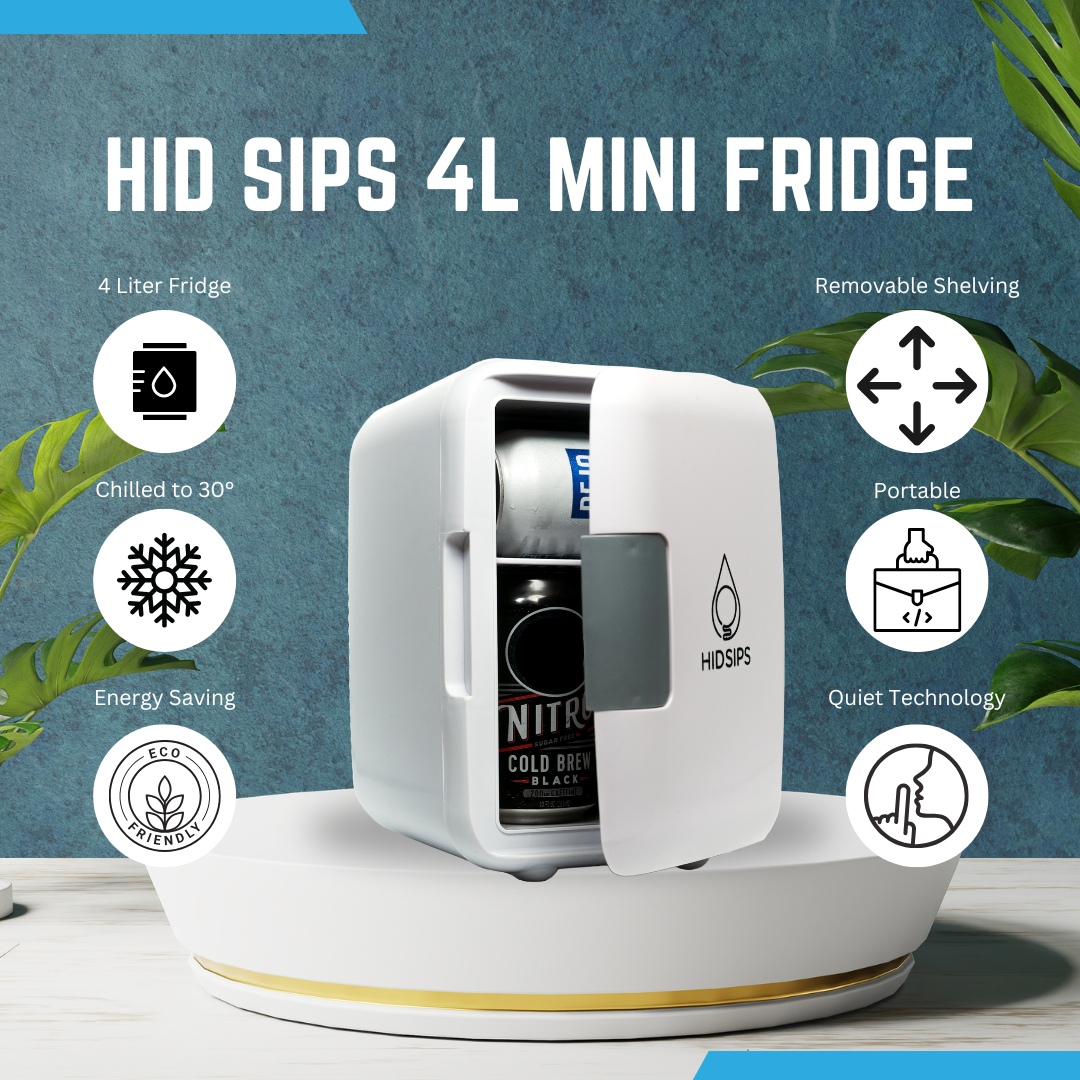 SYPS 4L Mini Fridge - GilloServ