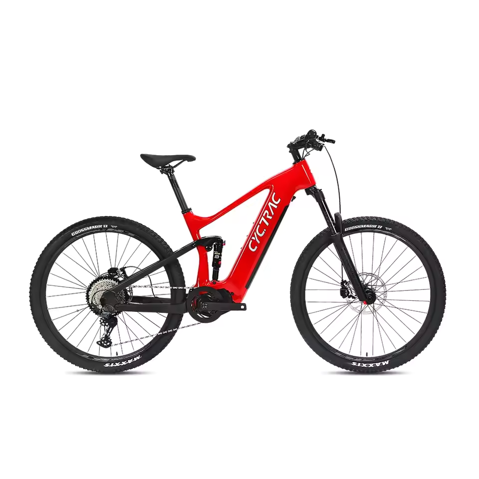 EM10 NEW BRAND- ELECTRIC ALLOY BIKE