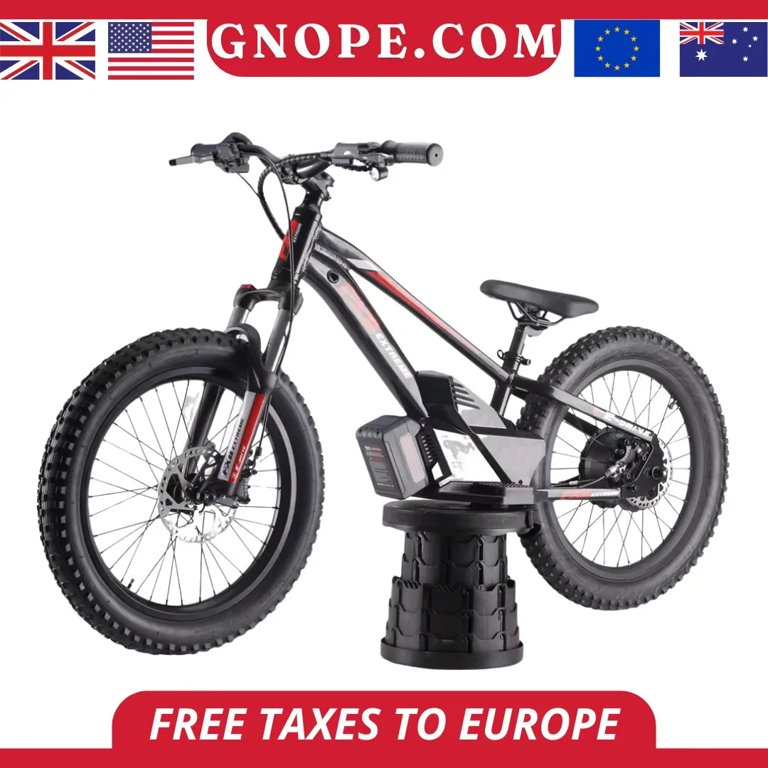 New model Electric Balance Bike with 20-Inch off road bikes Removable Battery E-bikes - GilloServ