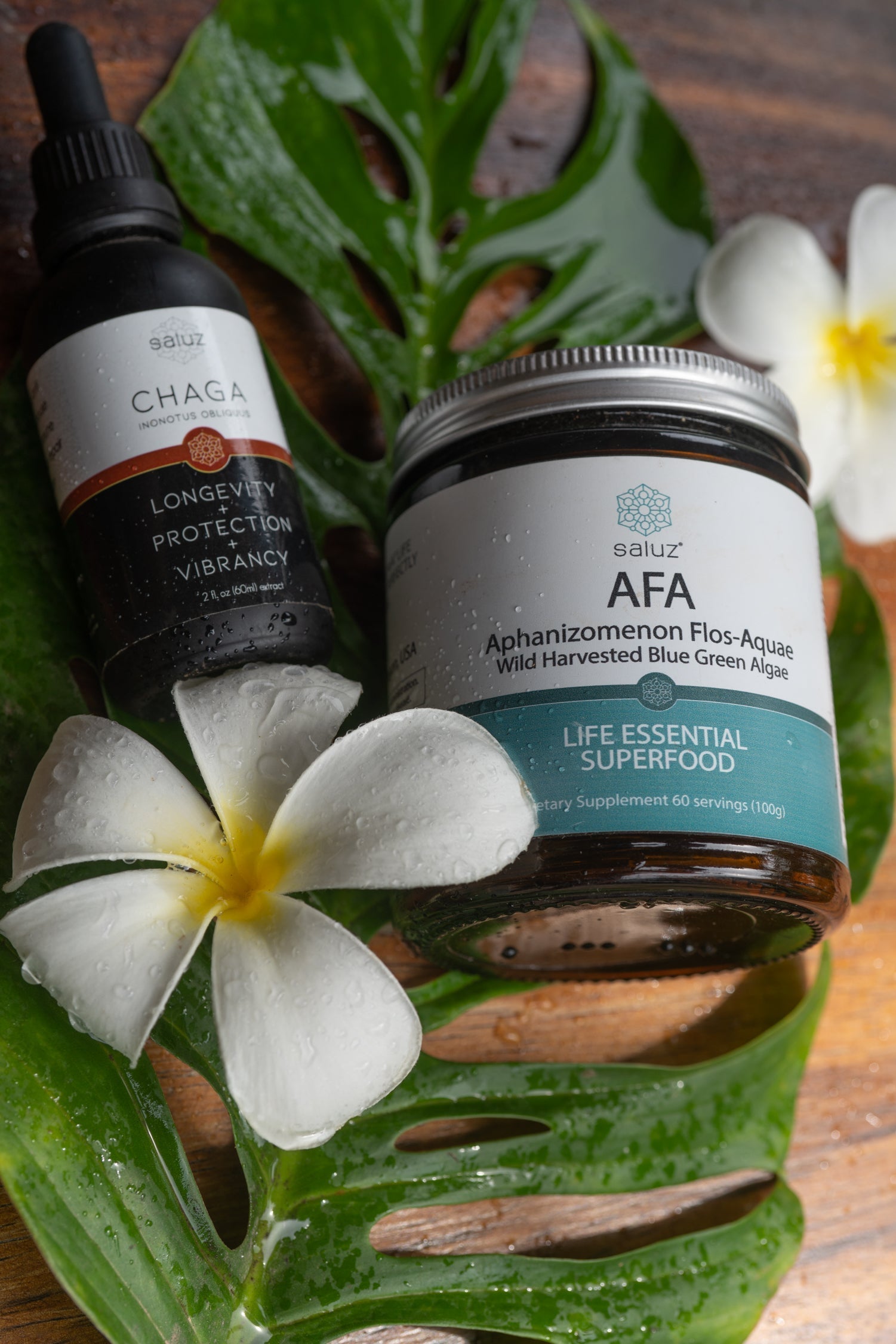 Saluz Detox Bundle The Ultimate Cleanse With AFA And Chaga Mushroom