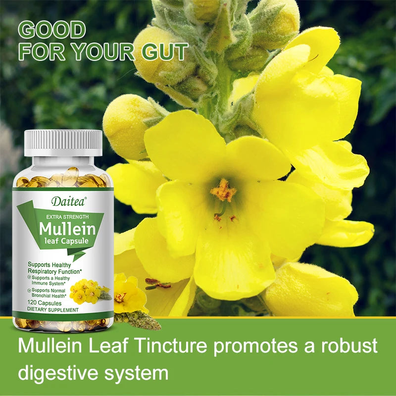 Mullein Leaf Extract Capsules, Helps Cleanse and Detoxify The Lungs, Supports Respiratory Health, - GilloServ