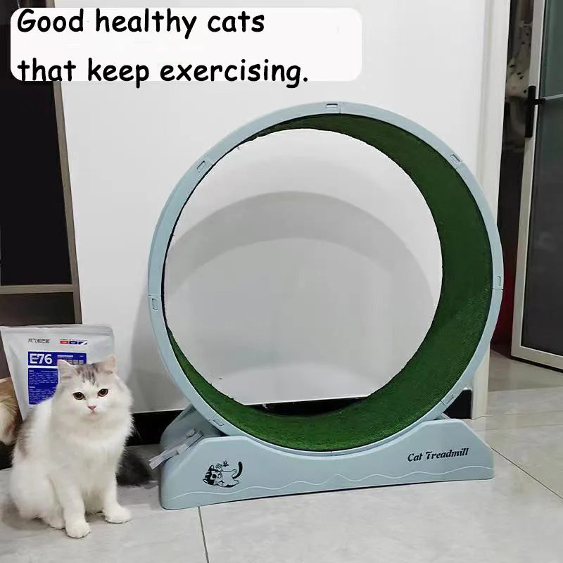 Cat Treadmill Fitness Exercise Indoor Pet Silent Roller Run Toy Detachable Weight Loss Kitty Train Runner Supplies - GilloServ