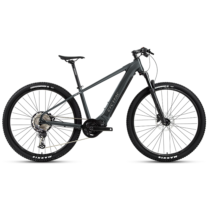 EM5 NEW - ELECTRIC ALLOY BIKE