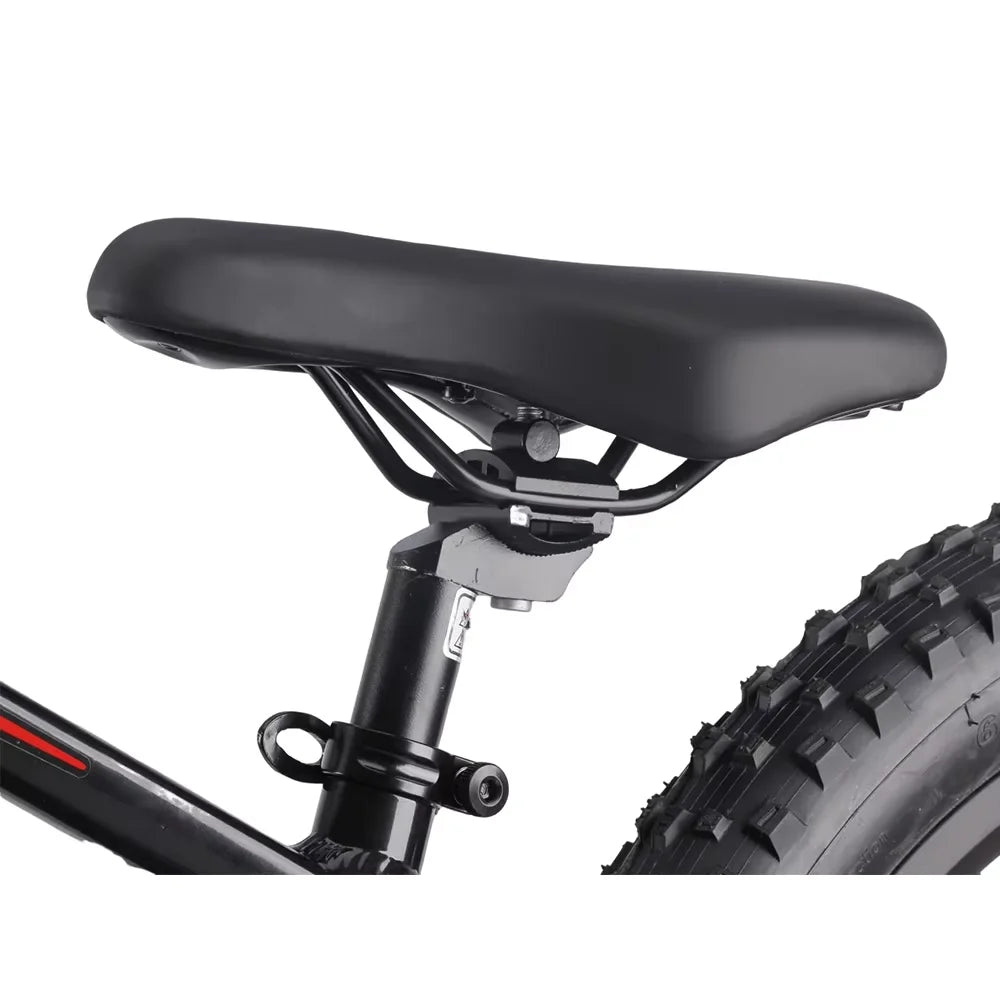 New model Electric Balance Bike with 20-Inch off road bikes Removable Battery E-bikes - GilloServ