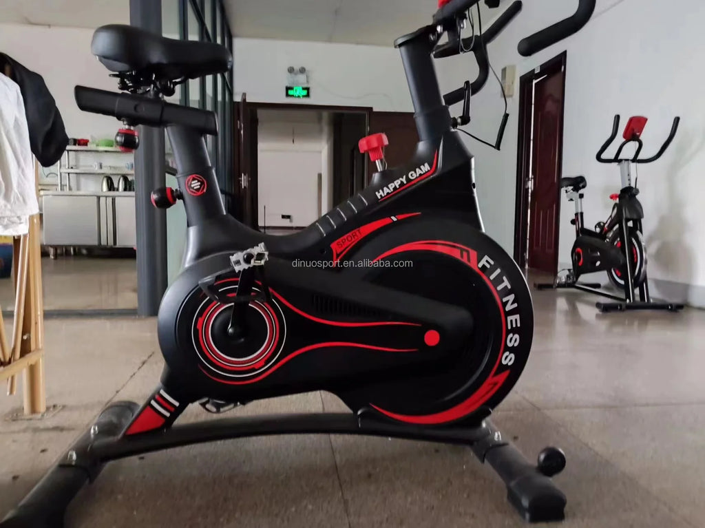 Magnetic Resistance Exercise Bike Home Cardio Gym Workout Bike Fitness Indoor Gym Exercise Flywheel 13 kg Spinning Bike - GilloServ