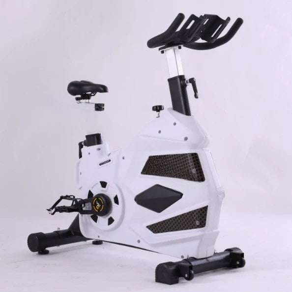 Spinning Bike, Gym Exercise King Kong Spinning Bike Indoor Home Private Training Studio Bicycle - GilloServ
