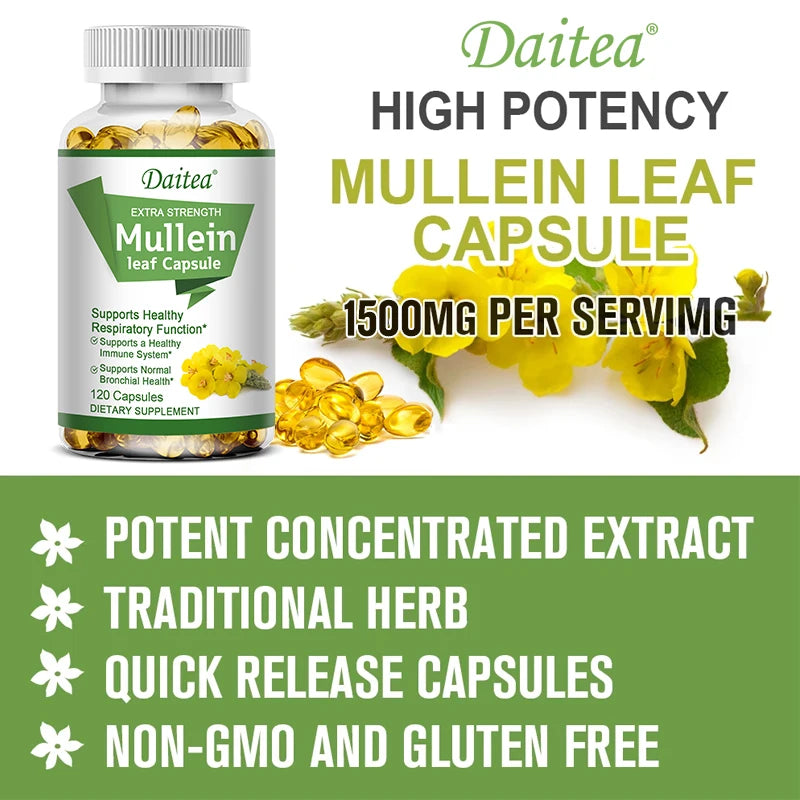 Mullein Leaf Extract Capsules, Helps Cleanse and Detoxify The Lungs, Supports Respiratory Health, - GilloServ