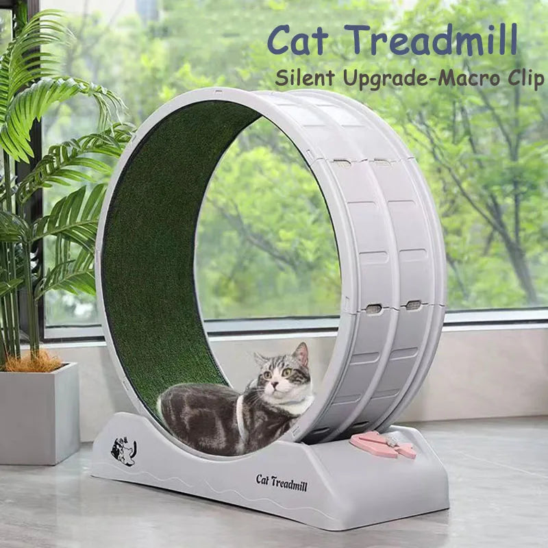 Cat Treadmill Fitness Exercise Indoor Pet Silent Roller Run Toy Detachable Weight Loss Kitty Train Runner Supplies - GilloServ