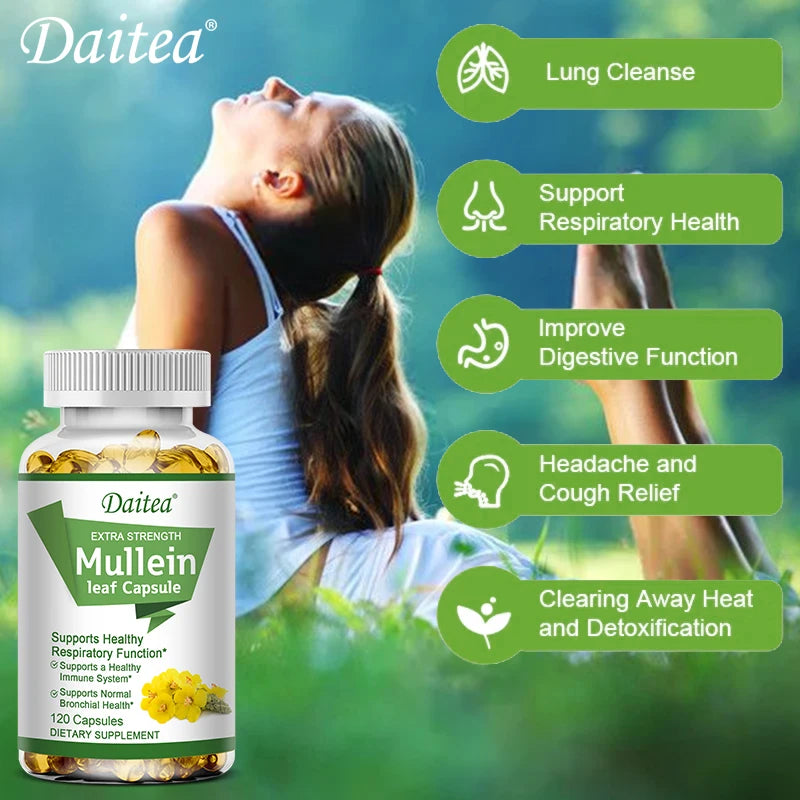 Mullein Leaf Extract Capsules, Helps Cleanse and Detoxify The Lungs, Supports Respiratory Health, - GilloServ