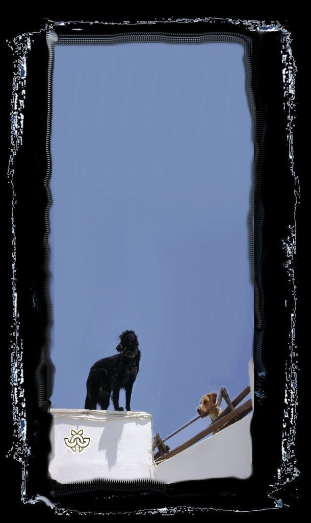 Silk sleeveless shirt. Art meets Fashion. Dogs on a Wall in Santorini, Greece-2