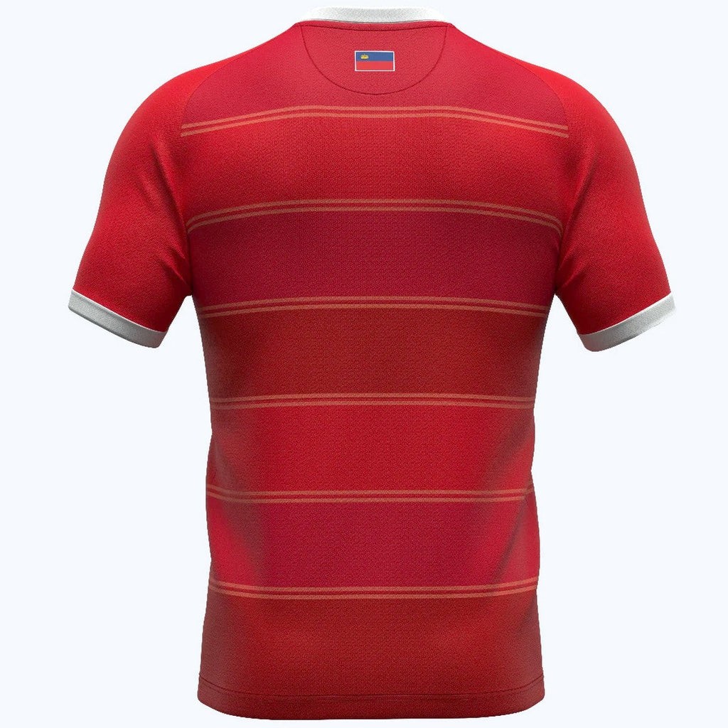 Liechtenstein national team Away Soccer jersey 2024/25 - Errea-1