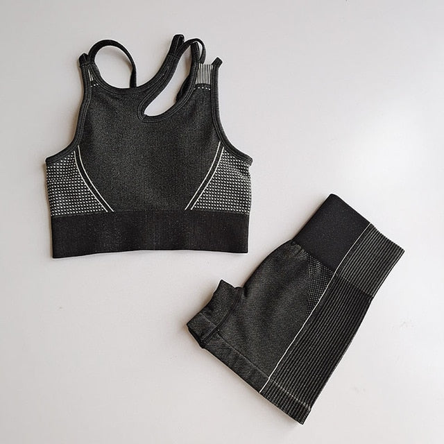 2pcs Seamless Yoga Sets Women Sport Wear - GilloServ