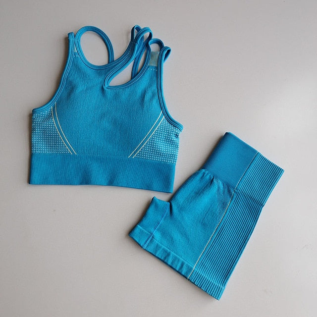 2pcs Seamless Yoga Sets Women Sport Wear - GilloServ