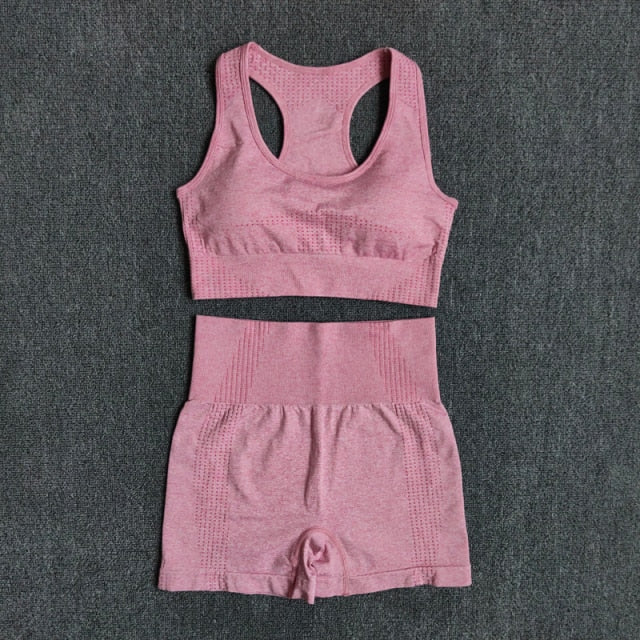 Seamless 2PCS Yoga Set Sports Bra High Waist Fitness Gym Shorts