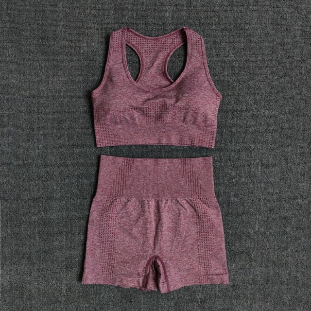 Seamless 2PCS Yoga Set Sports Bra High Waist Fitness Gym Shorts