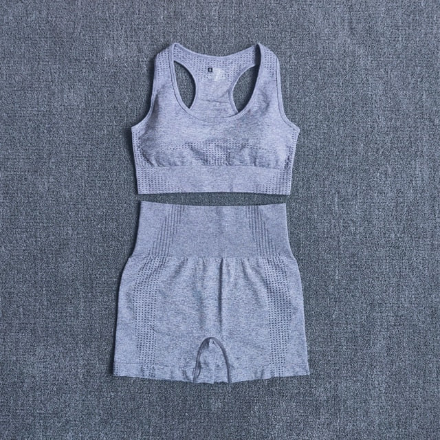 Seamless 2PCS Yoga Set Sports Bra High Waist Fitness Gym Shorts