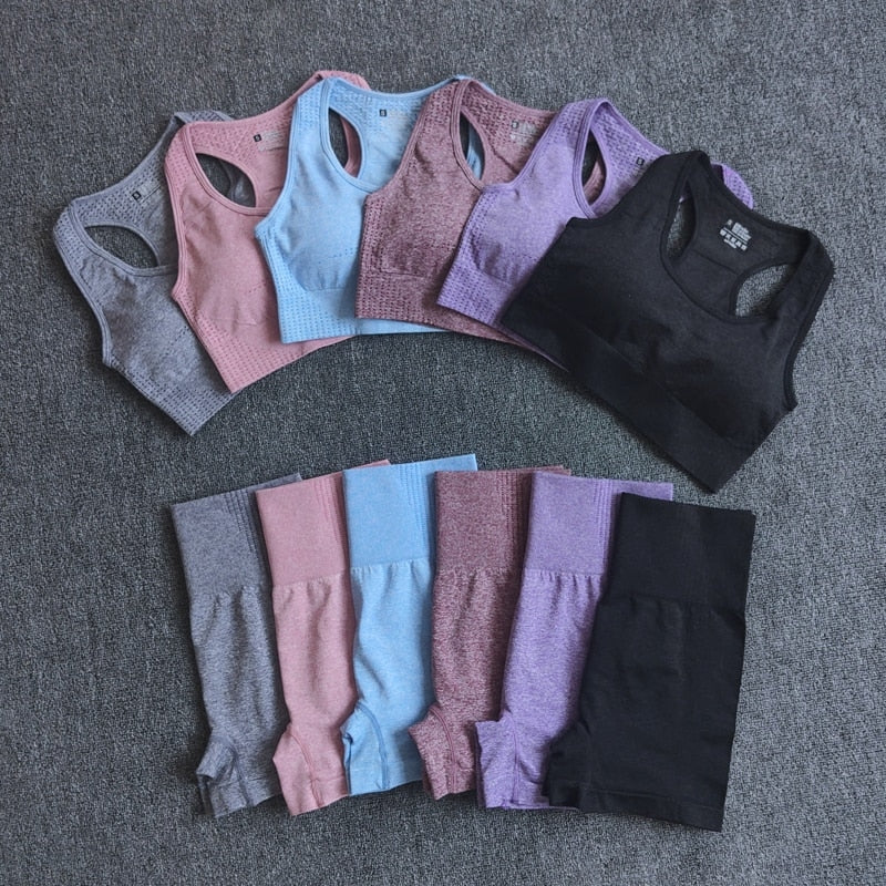 Seamless 2PCS Yoga Set Sports Bra High Waist Fitness Gym Shorts