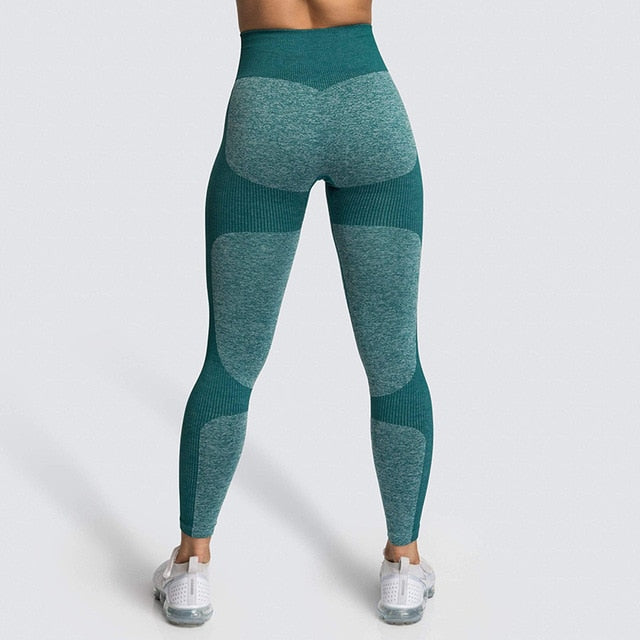 Lycra Seamless Yoga Set Women Fitness - GilloServ
