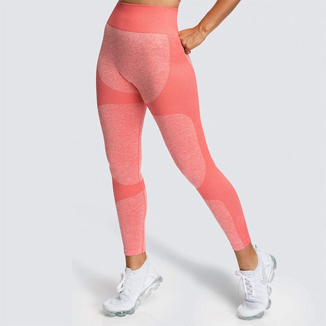 Lycra Seamless Yoga Set Women Fitness - GilloServ