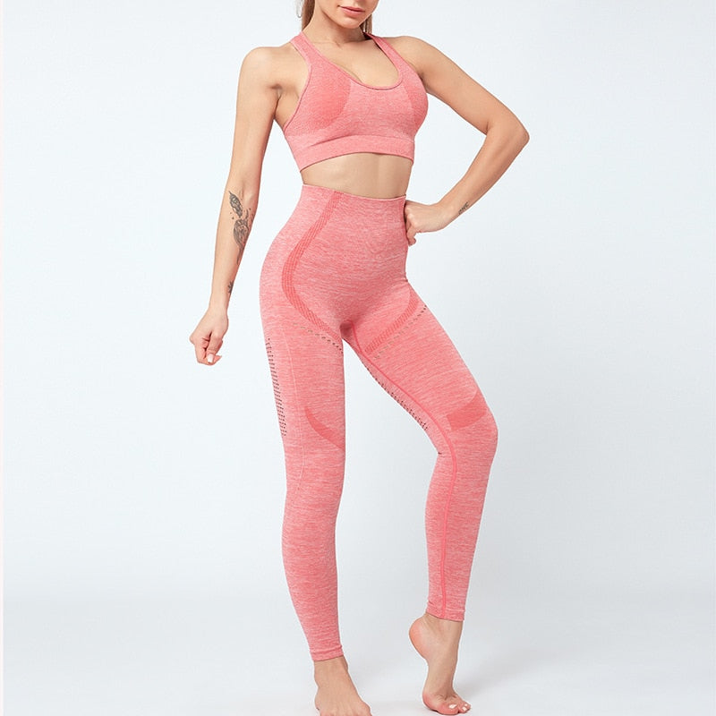 Women Seamless Yoga Set Women Gym Clothes
