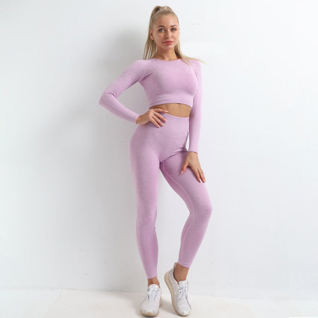 Seamless Yoga Set Women Gym Clothes Solid Long Sleeve