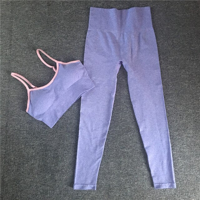 Sportswear Seamless Yoga Set Solid Women Gym Clothes