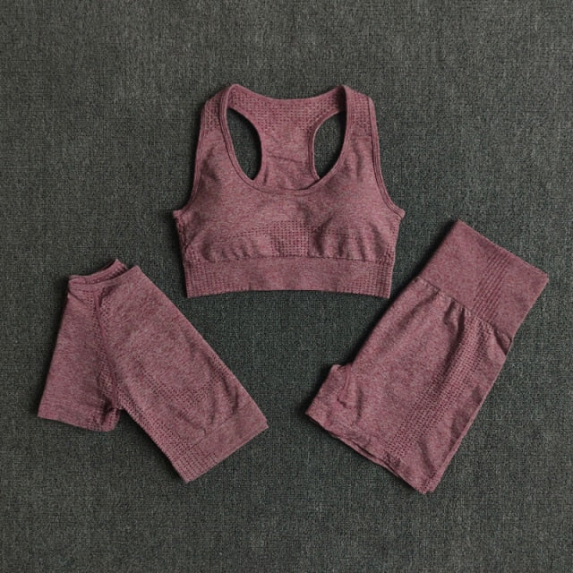 2/3/5PCS Seamless Women Yoga Set - GilloServ