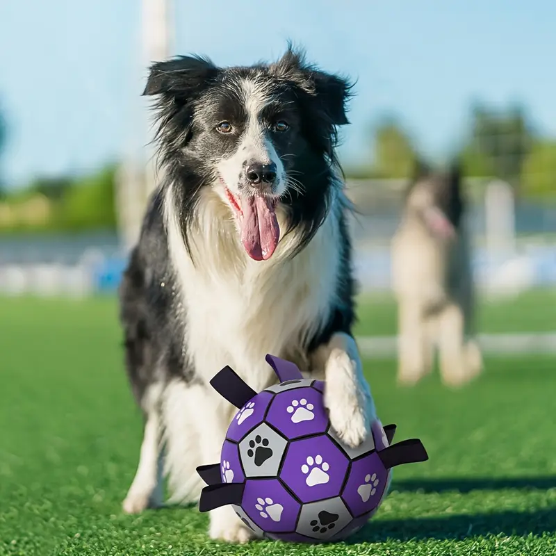 Rubber Dog//Durable Soccer Ball with Straps