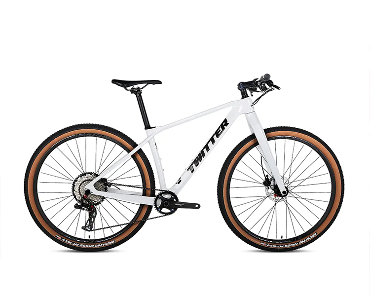13 Speed - Carbon Fiber Mountain Bike